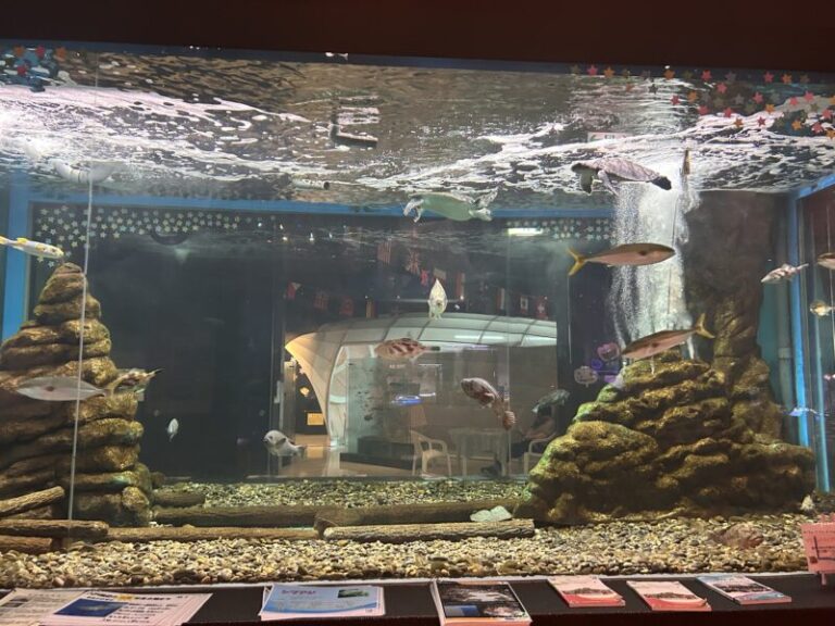 八戸水産科学館マリエント