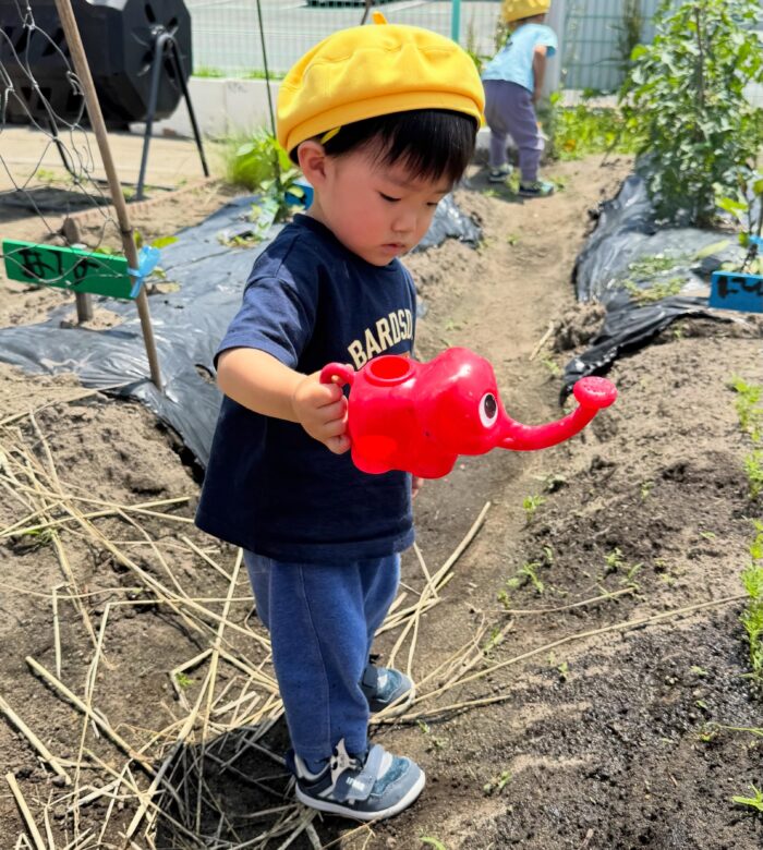 園庭で自然に触れながら遊ぶ環境